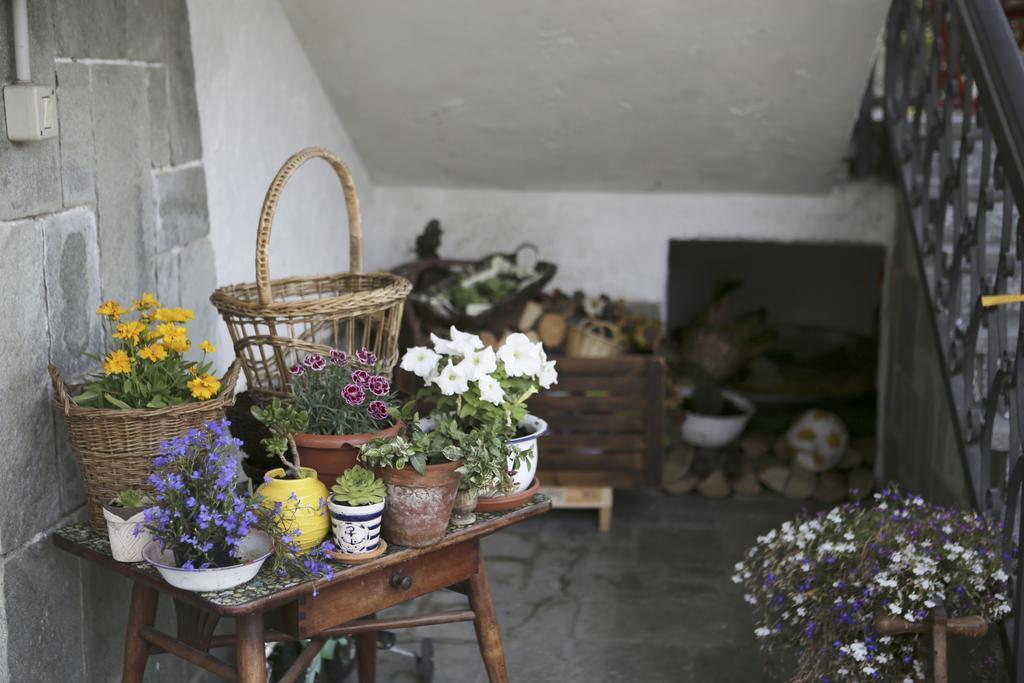 B&B La Gerbolina San Giusto Canavese Esterno foto