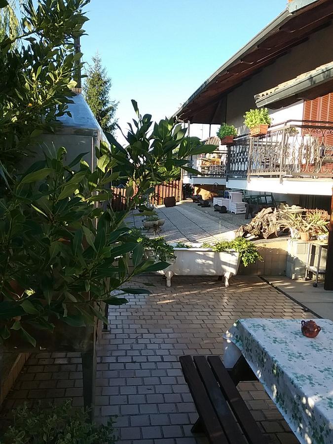 B&B La Gerbolina San Giusto Canavese Esterno foto